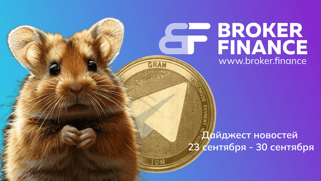 Как листинг $HMSTR поднял курс TON 